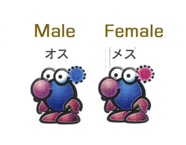 Pikmin (GC) originalmente era um título de N64 e teve visual inspirado em Tim Burton