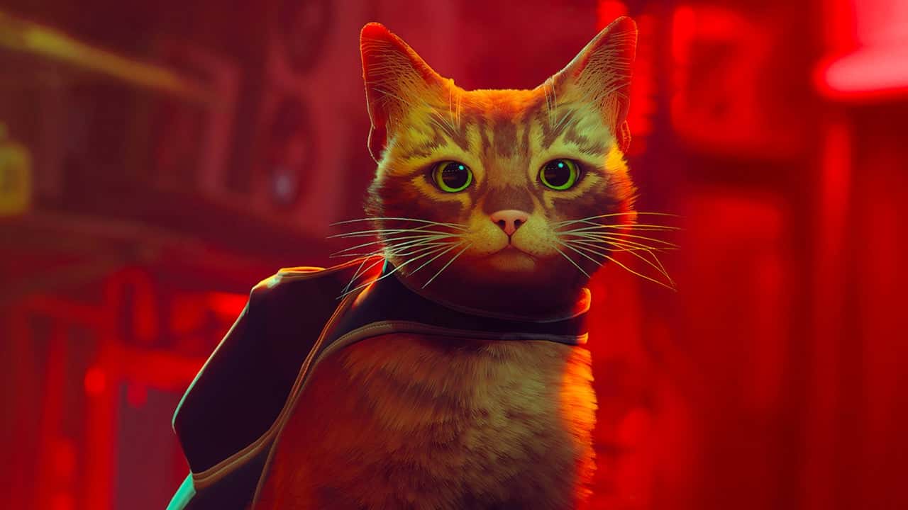Stray vai ganhar versão para o Nintendo Switch 2